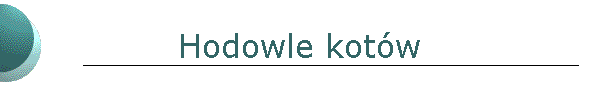 Hodowle kot�w