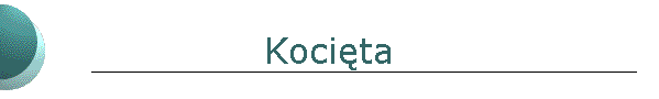 Koci�ta