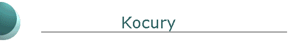 Kocury