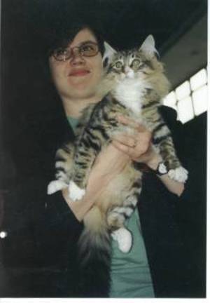 Kociak
