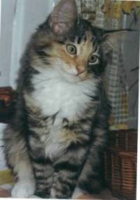 Milka